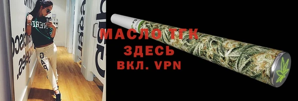 дживик Бородино
