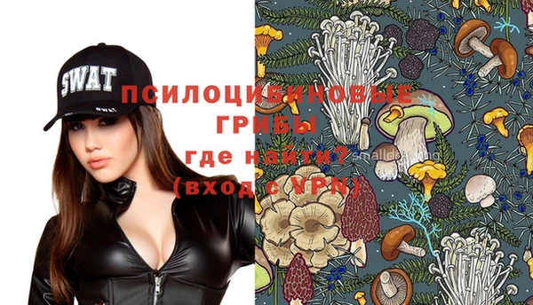 дживик Бородино
