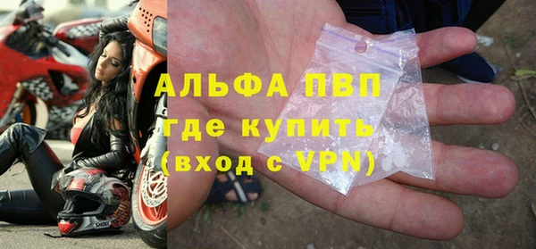 дживик Бородино