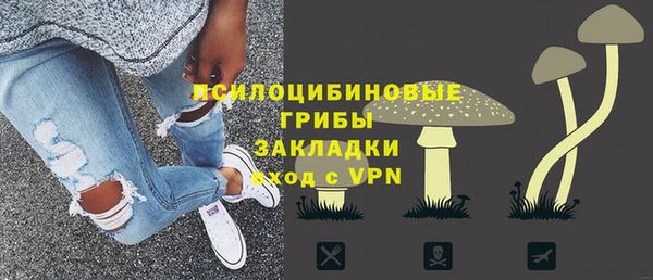 дживик Бородино