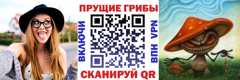 Галлюциногенные грибы мицелий Юрьевец