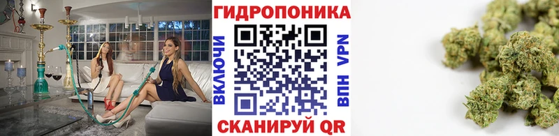 Конопля гибрид Юрьевец